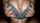 boobs cumshot amateur