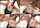 bbc interracial deepthroar