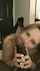 amateur bbc teen