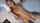 webcam camgir l dildo