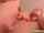 camgirl masturbation solo