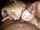 interracial blonde cheating