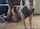 teen bbc interracial