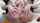 camgirl amateur webcam