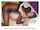 interracial cheating hot wife