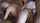 blonde doggystyle teen