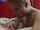 milf short hair tattoo