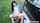 cowgirl brunette teens