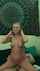 cowgirl blonde moan