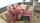 cospplay jav asians