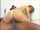 formiguinha latina big ass