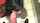 brunette deepthroat amateur
