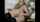 cam camgirl amateur