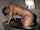jav japanese bigass