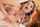 cumshot facials cum in mouth