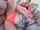 teen schoolgirl blonde