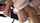 jav swimsuit japanese