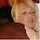 interracial blonde missionary