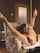 masturbation masturbating dildo
