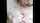 amateur blowjob brunette