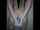 camgirl amateur insertion