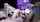 cam camgirl amateur