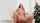 big tits reverse riding