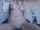 webcam camgirl asian