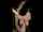 amateur mmf threesome