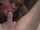 amateur throbbing oral blowjob