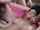 euro spunk blowjob pornhub