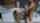teen fucked beautiful