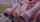 pink hair teen petite