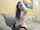camgirl cam russian