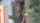 jav asian japanese