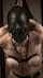 bdsm bondage fetish