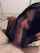 amateur blowjob pov