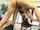 japanese jav video