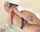 solo masturbation sucking
