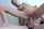 reverse cowgirl cream