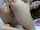camgirl amateur anal