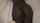 fingering black woman spank