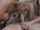 threesome big titties blonde