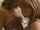 lesbian kissing softcore