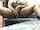indian masturbation webcam
