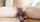 hairy pussy cum fucked