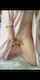 amateur camgirl solo