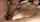 brunette teen pov