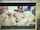 cam girl dildo latina