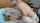 amateur doggystyle couple